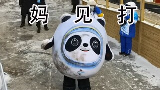 بينغ دوين دوين: أمي، لقد عدت من كوني لطيفًا!!