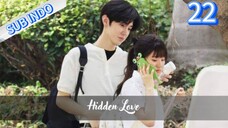 Hidden Love Eps.22 HD | Sub Indo 🇨🇳🇨🇳
