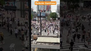 Shibuya Crossing!