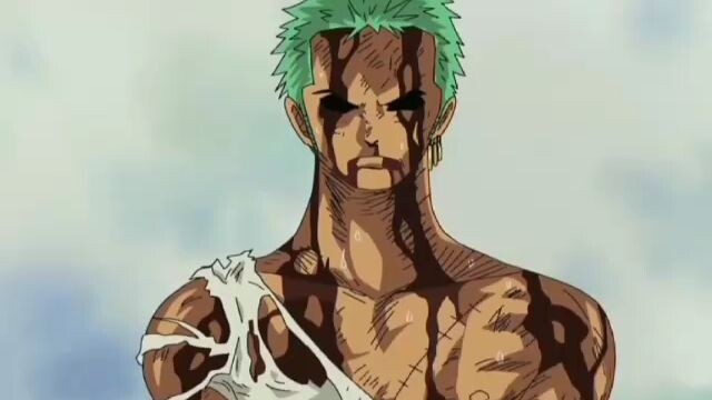 NOTHING HAPPENED! > ZORO