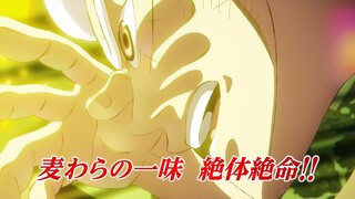 8月10日海贼王启用新OP预告，ELLEGARDEN演唱