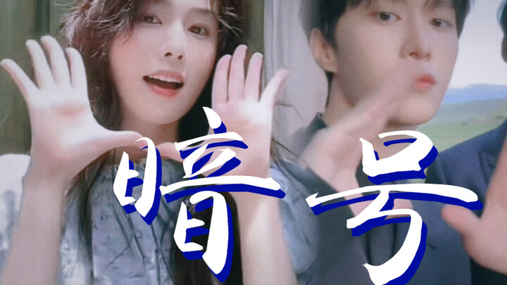 【Bai Lu & Fan Chengcheng】Tarian gestur adalah semacam sandi rahasia? Keselarasan yang tak perlu diuc