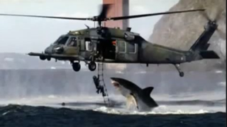 Shark attacks Navy Helicopter