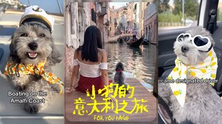 我家小狗问我今天为什么又是逛的小区🥹