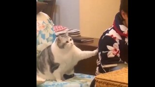 Mom, um... I still want to eat a bit more...