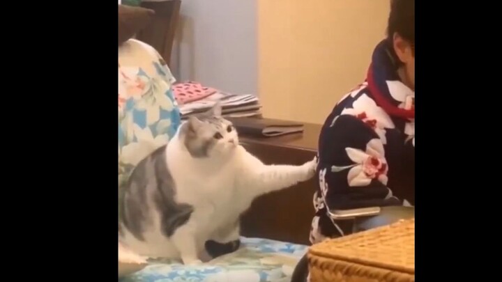 妈，内个…我还想再吃点儿…