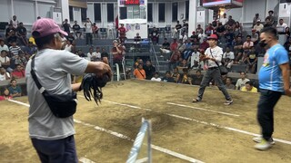 Senior Fight patibayan sa bitaw