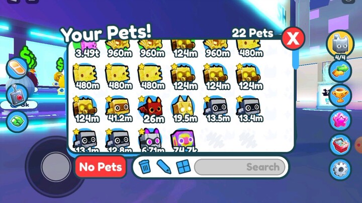 I give my pets