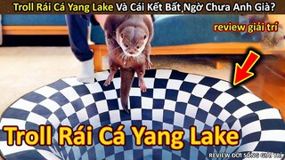 Troll Rái Cá Yang Lake với thảm 3D và Cái Kết Bất Ngờ || Review Giải Trí Đời Sống