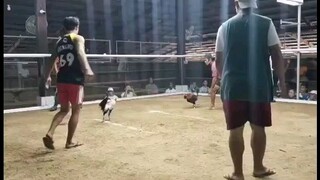 Kala nila talo na kami bulik babalik