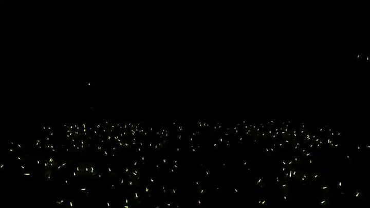 BTS LIVE TRILOGY- Red Bullet Tour