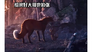 ข้อดีของการถ่ายภาพ ยิ่งมีทักษะมากยิ่งเป็นประโยชน์