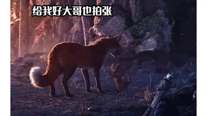 Keuntungan menguasai fotografi: semakin banyak keterampilan, semakin baik.