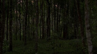 Menjelang Senja (2023)