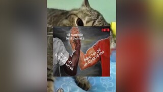 ae đã từng áp dụng kế hoạch này chưa 😎memegaycuoi superidol memetaotiengcuoi meme memes haomeme haomemes