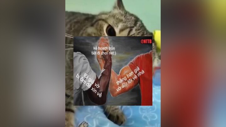 ae đã từng áp dụng kế hoạch này chưa 😎memegaycuoi superidol memetaotiengcuoi meme memes haomeme haomemes
