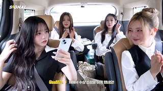 [ID SUB] tripleS: Signal 250725