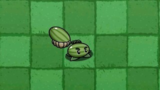 แตงโมตัวเล็ก