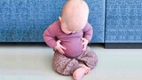 Videos De Risa 2022 nuevos 😂 Videos Graciosos - Los bebés gorditos más lindos del planeta