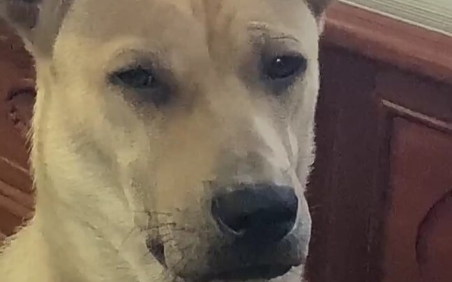 This is what you look like in class.