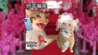 当代00后各过各的生活