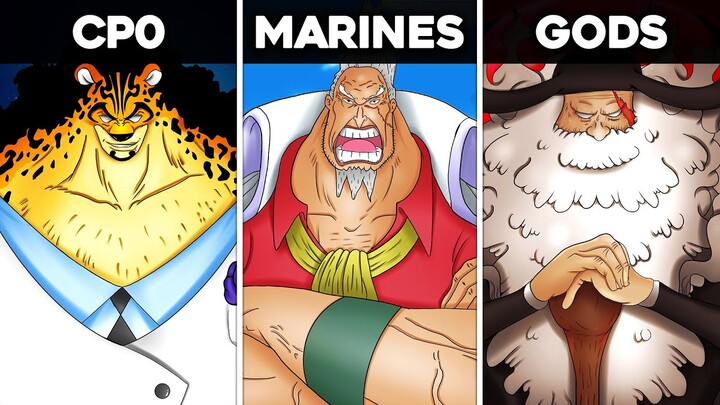 All World Government Fighters Explained (God Knights, Gorosei...)