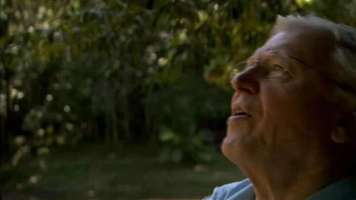 David Attenborough's 100 Years on Planet Earth