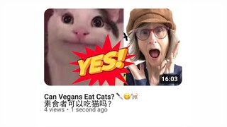 Yes, vegetarians can eat cats(