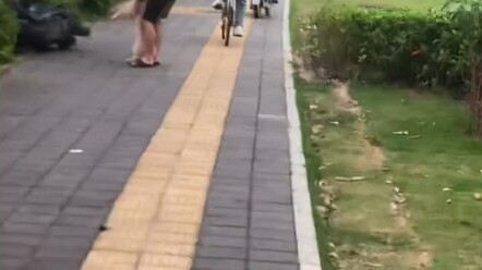 คว้าถั่วแต่เสียแตงโม