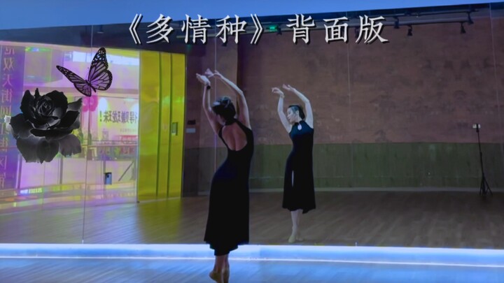 情深谁懂 是我在做多情种 《多情种》背面版