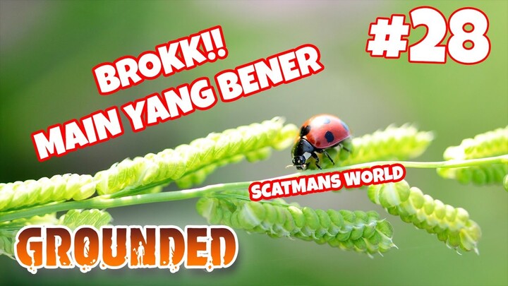 PAPOPE DULU SEBELUM BERMAIN - Grounded #28