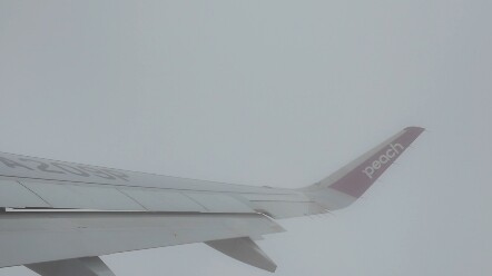 ชีวิตก็คงจะแจ่มใสขึ้นแบบนี้เหมือนกันนะ