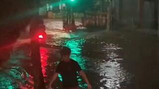 story. kata"