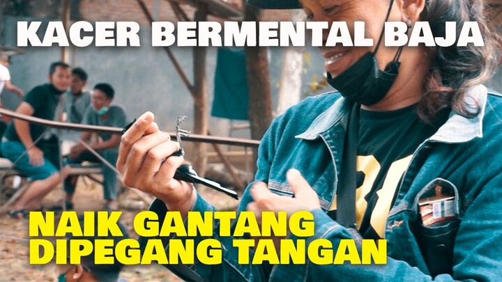 KACER BERMENTAL BAJA ,  NAIK GANTANG DI PEGANG PAKE TANGAN