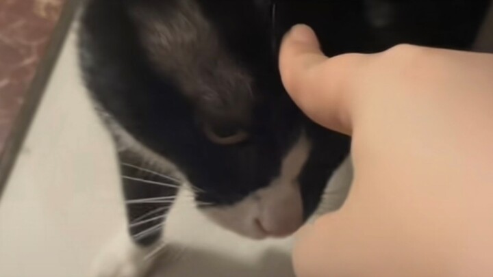 “As soon as the ‘airplane ears’ kick in, just guess which screw’s loose!”