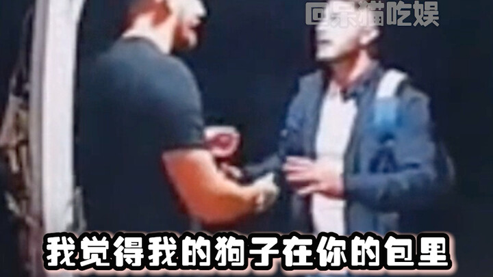 金毛：我都躲到背包里不出声的#萌宠#狗狗