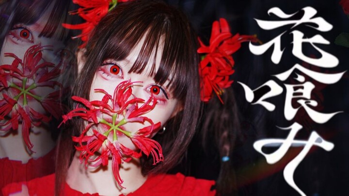 【知秋】花喰み 【原创编舞】
