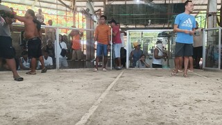 Talo nanaman, minamalas pa 🐓🫡 7/27/25