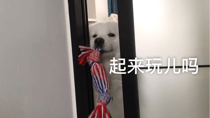 The first morning after splitting up with my dog—it’s so heartwarming to wake up and see this.