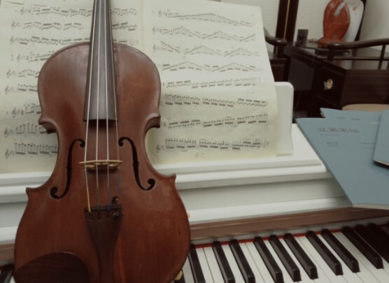 当用300年的老琴奏响鸟之诗会有什么反应