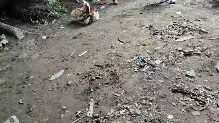 Tupada muna. lusot lasak natin!
