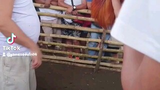 masyado tau minaliit ng kalaban..