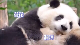 Runyue xứng đáng là một fan hâm mộ