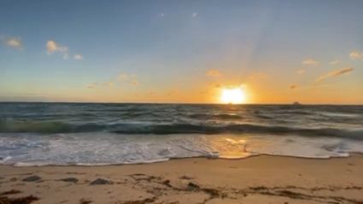 Abu Dhabi #Call# #Girls# O5O*8644*382 High Class （。ㅅ 。） Abu Dhabi #Call# #Girls# Number