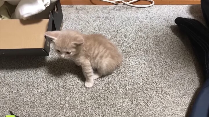 It will explode if you leave for even one second.