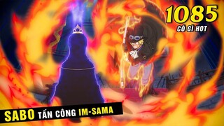 [ One Piece 1085 có gì HOT ] Sabo đột nhập đụng độ Ngũ Lão Tinh & Im-sama, Cái chết vua Cobra
