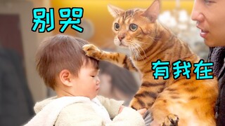 Cách duy nhất để dỗ trẻ sơ sinh nín khóc là để mèo làm điều đó!