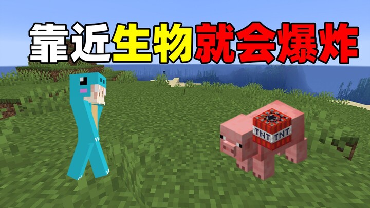 They explode when you get close! How will you survive? Fun Survival in Minecraft