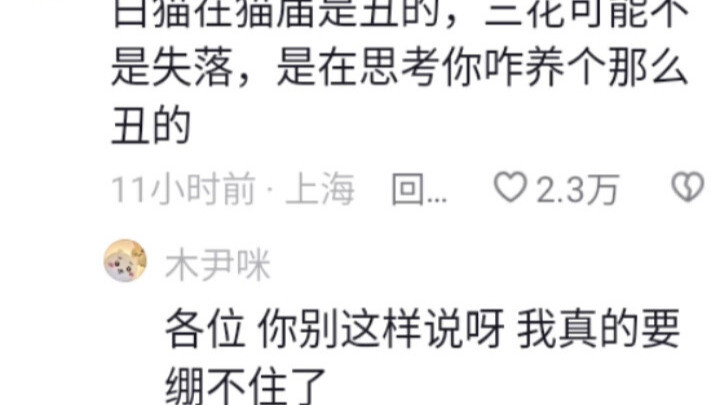 Với mèo thì mèo tam thể chính là nữ thần nhan sắc hạng nhất, còn mèo trắng lại là goblin xấu đến mức