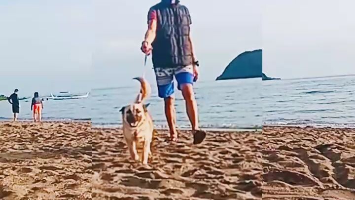 my little doggy🐕